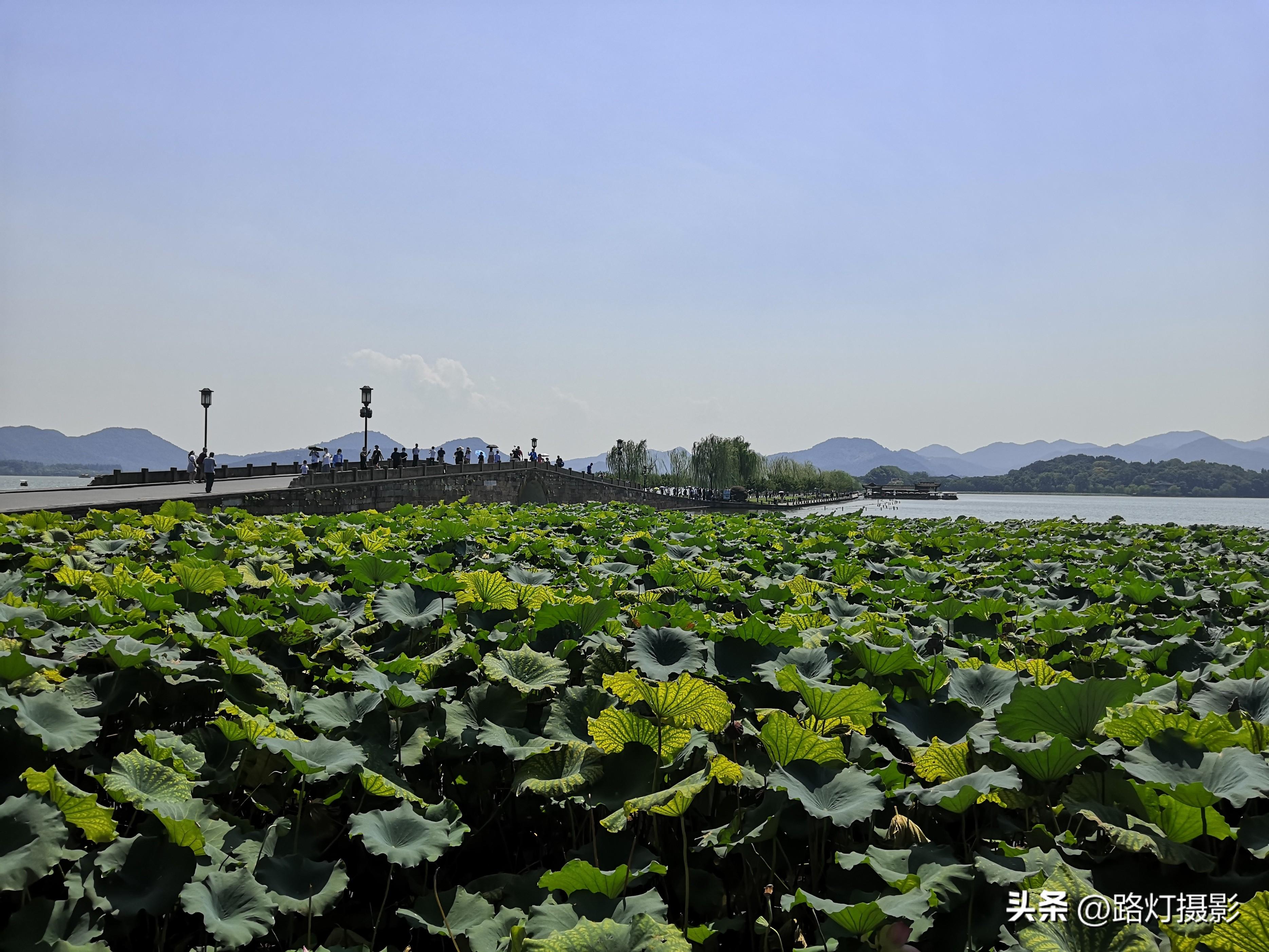 全球最宜居城市排行榜中国上榜城市（中国宜居城市排名）(图14)