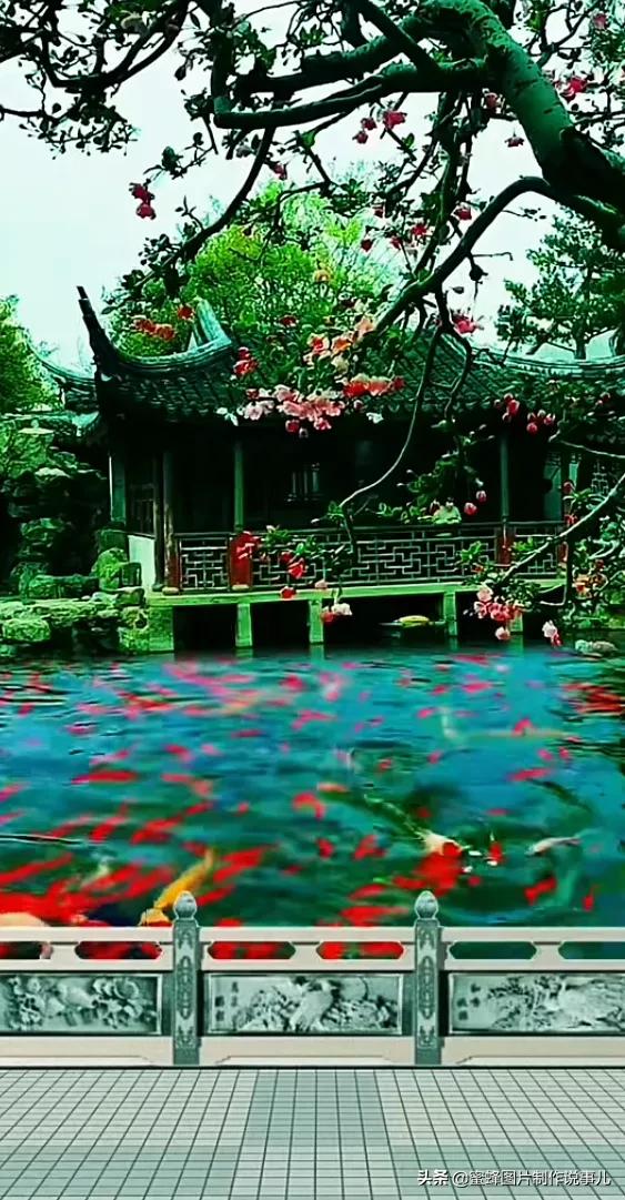 让人心灵宁静的图片（心静如水的大自然美景）