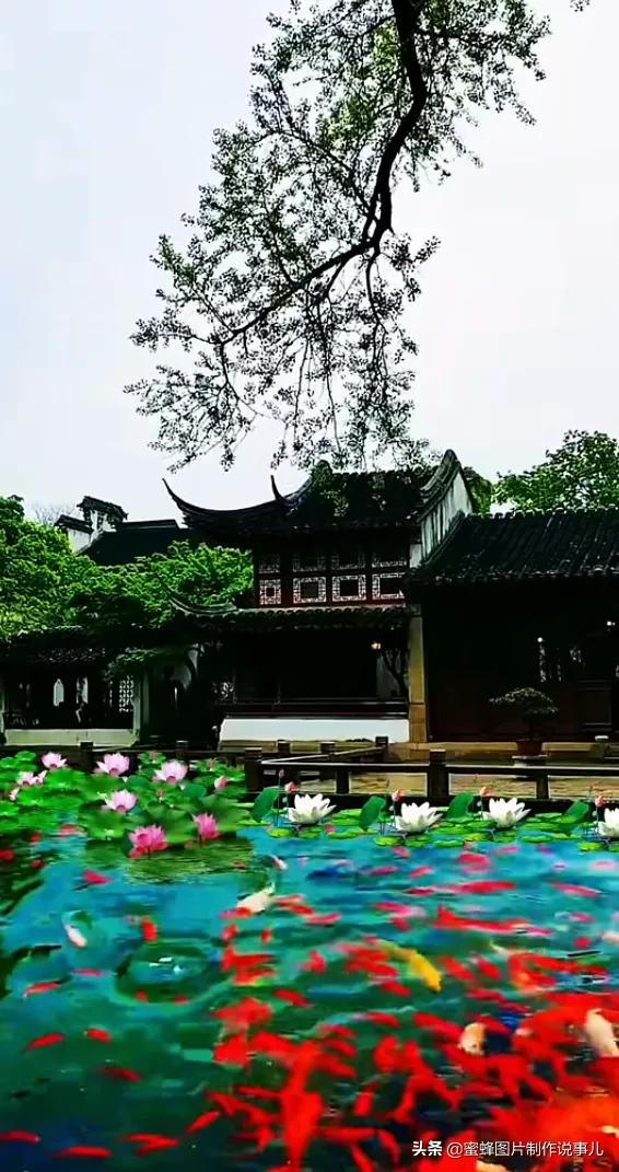 让人心灵宁静的图片（心静如水的大自然美景）