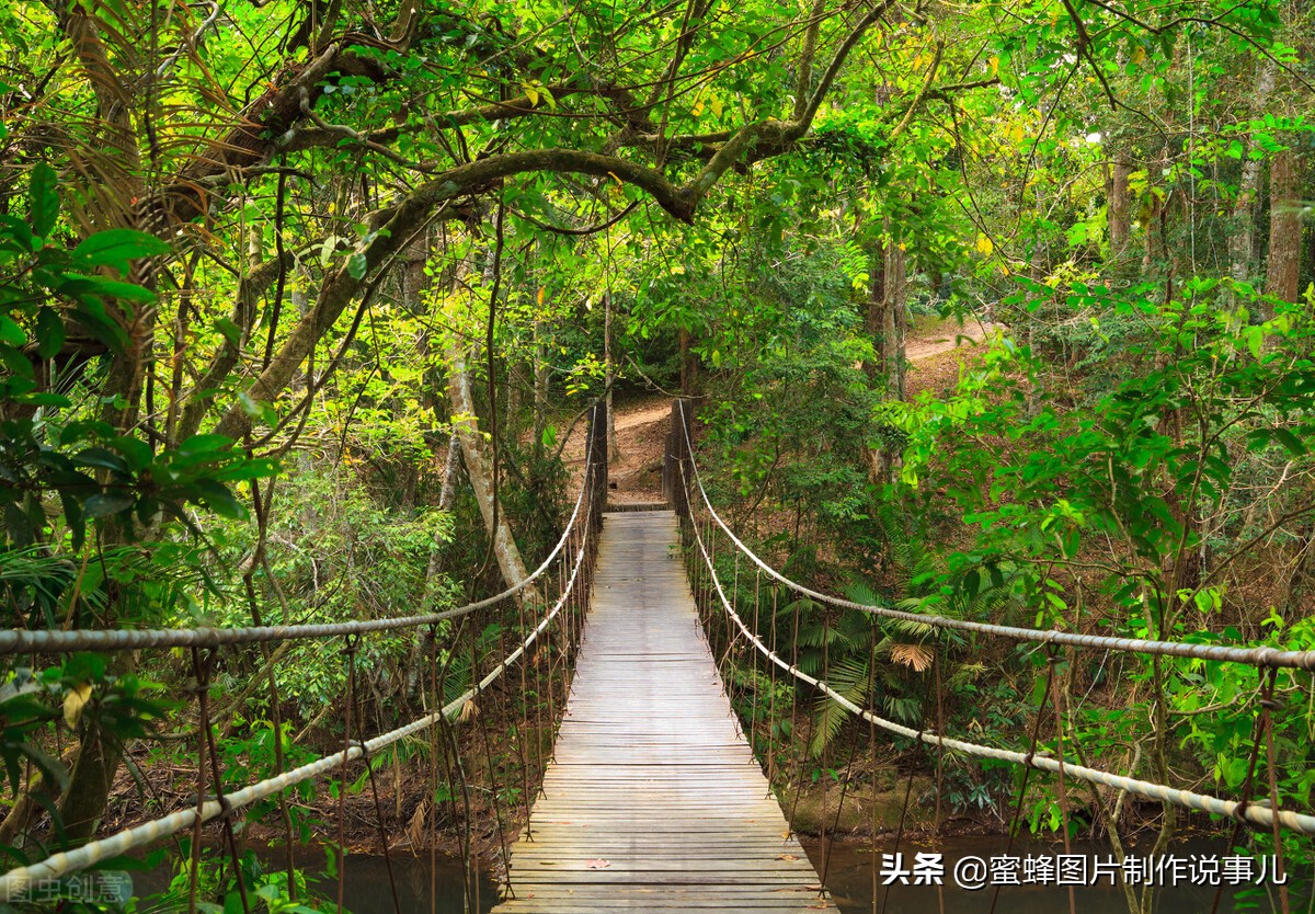 让人心灵宁静的图片（心静如水的大自然美景）