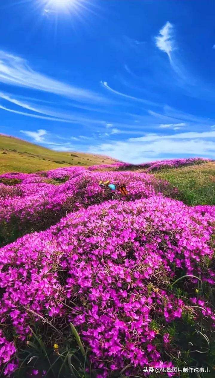 让人心灵宁静的图片（心静如水的大自然美景）