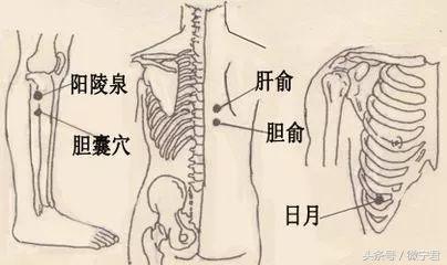 董氏奇穴32个穴位图解大全（48个经外奇穴功效及穴位图详解之一）(13)