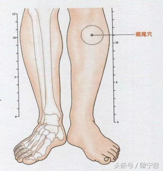 董氏奇穴32个穴位图解大全（48个经外奇穴功效及穴位图详解之一）(8)