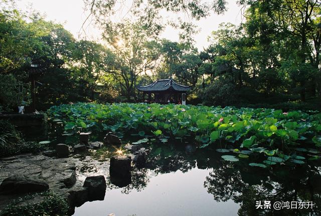 复古情怀胶片相机满满的仪式感（百年老胶片相机焕发青春活力）(75)