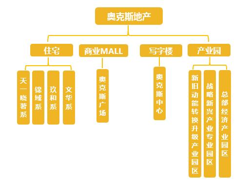 奥克斯地产资金链（风华正茂正当时）(4)