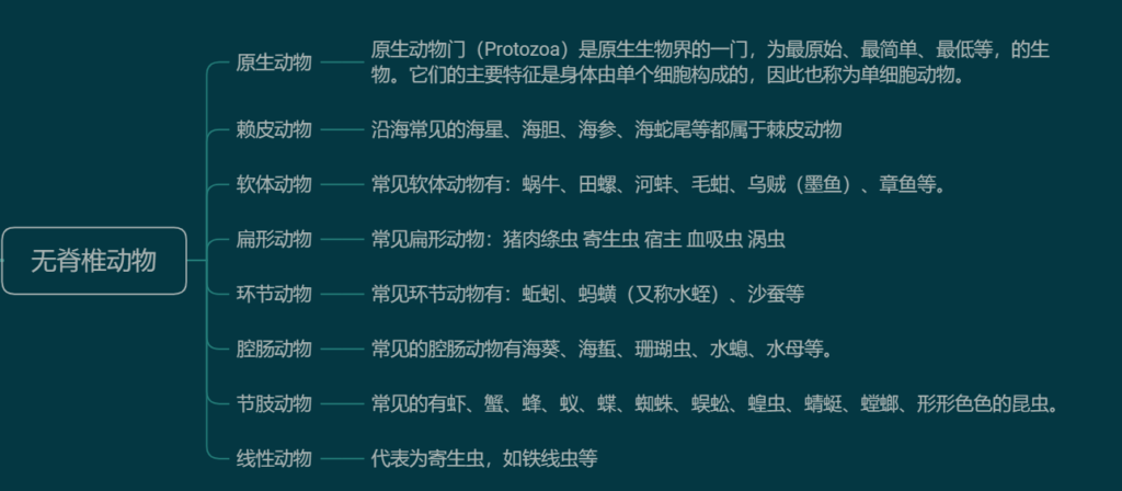 动物种类有哪六大类_动物种类的分类