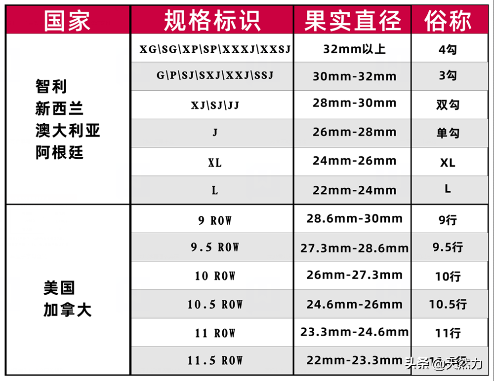 车厘子等级划分标准（车厘子的大小等级是什么意思）(图6)