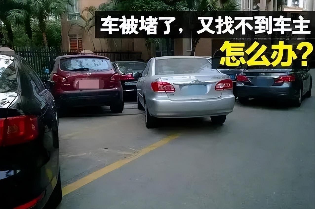 查车主的电话怎么查挪车（查车主电话挪车打什么电话）(图1)