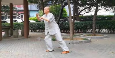 ​吴氏太极拳83式吴阿敏动作名称