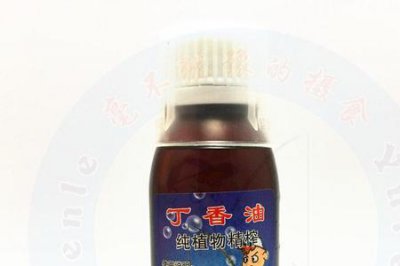 ​什么季节钓鱼用丁香油