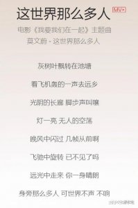 ​这世界有那么多人刘若英歌词