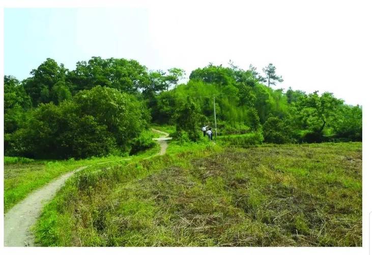 第三天：红四方面军诞生地―大别山国家森林公园—罗田老君洞风景区（黄麻起义纪念园和古城村）