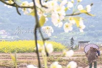 ​春雷阵阵夏雨雪出自哪