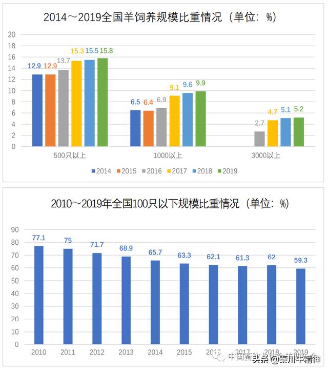 肉羊养殖技术及管理（养殖成本不断增加）(4)