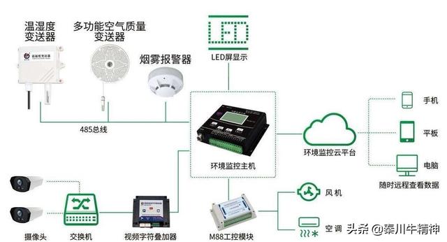 肉羊养殖技术及管理（养殖成本不断增加）(5)