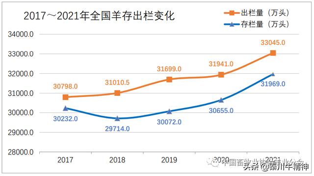 肉羊养殖技术及管理（养殖成本不断增加）(2)