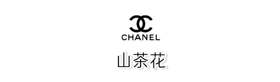 chanel所有包包款式（三款必买的CHANEL包包）(12)