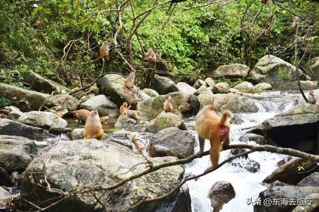 贺州黄姚古镇旅游景点介绍（贺州旅游景点大全排名）