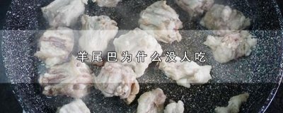 ​羊尾巴为什么没人吃，不吃羊尾巴的原因