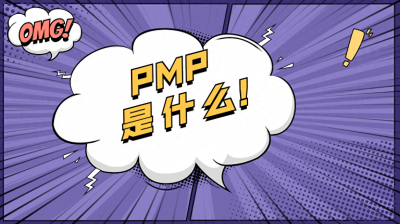 ​PMP是什么意思？