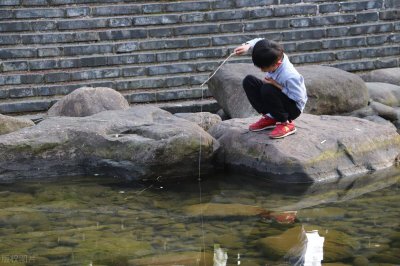 ​从补锅匠到大诗人—— 胡令能是哪个朝代的诗人