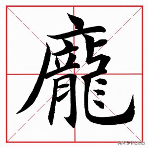 ​每日一字：庞字怎么读