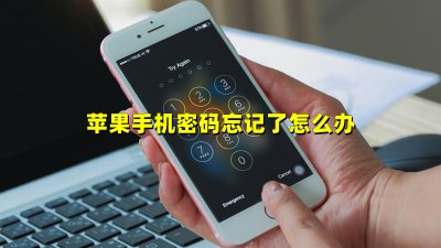 ​苹果手机声音没有了怎么办（苹果手机怎么关闭静音模式）