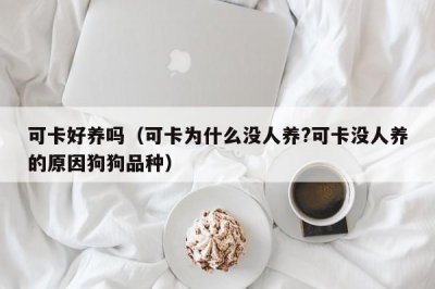 ​可卡好养吗（可卡为什么没人养?可卡没人养的原因狗狗品种）