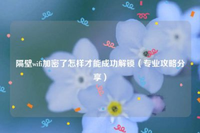 ​隔壁wifi加密了怎样才能成功解锁（专业攻略分享）