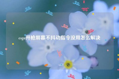 ​csgo开枪屏幕不抖动指令没用怎么解决