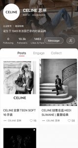 ​celine是什么牌子(曾经最“高冷”的CELINE，也终于开通了小红书官方号)