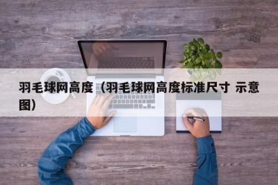 ​羽毛球网高度（羽毛球网高度标准尺寸 示意图）