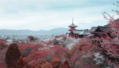 ​日本花魁是什么人物形象 日本花魁来历