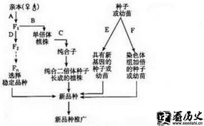 ​拉马克的成就介绍 生物学的伟大奠基人之一