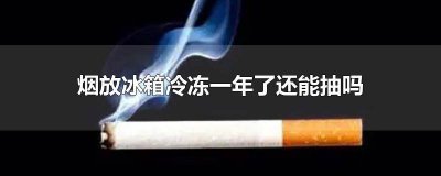 ​一根烟放在冰箱里一年能抽吗 香烟放冰箱一年了还能抽吗知乎