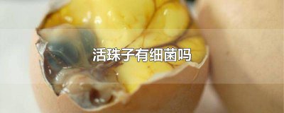 ​活珠子有细菌嘛还能吃吗 活珠子卫生吗?