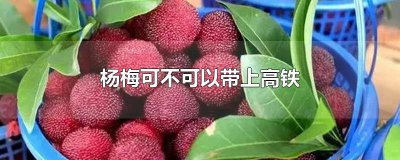 ​高铁能带杨梅吗? 杨梅可以带高铁吗