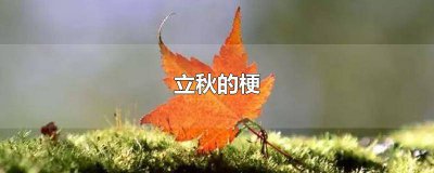 ​立秋有啥说道 立秋要说什么