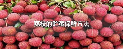 ​荔枝储存保鲜方法 鲜荔枝如何保鲜