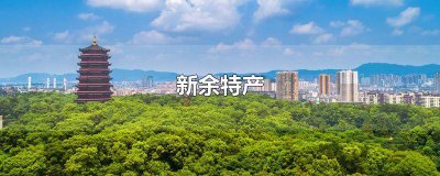 ​江西新余市有什么特产 江西新余特产超市在哪里?