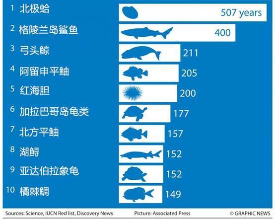 人的寿命在动物界算不算长寿?