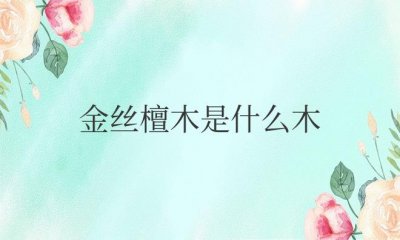 ​金丝檀木是什么木种（金丝檀木家具鉴定方法）