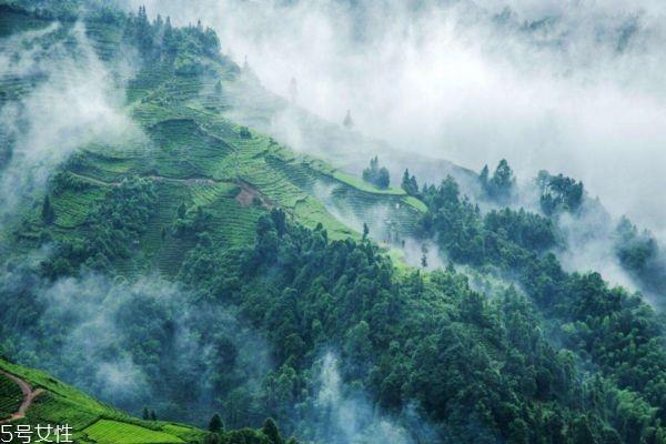 爬山锻炼的好处 腿部力量是登山的关键