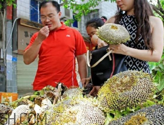 葵花籽不能和什么一起吃？葵花籽什么时候成熟