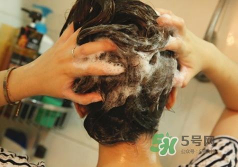 hair recipe水果洗发水怎么样？hair recipe洗发水哪款好用