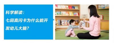 ​科学解读：七田真闪卡为什么能开发幼儿大脑？