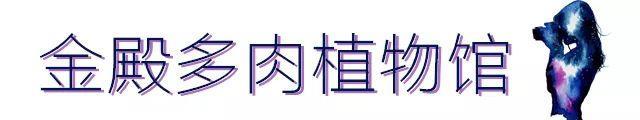 网红日落、网红书店，昆明这10个小众又文艺的地方，你打卡了吗？