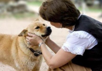 ​金毛幼犬饮食推荐：选择适合几个月大金毛的狗粮