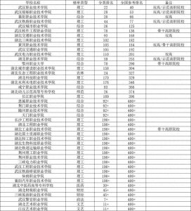 ​2023湖北高职院校排行：武汉职业技术学院排名第一，而它排在第二