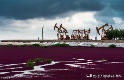 ​一分钟了解辽宁省盘锦市